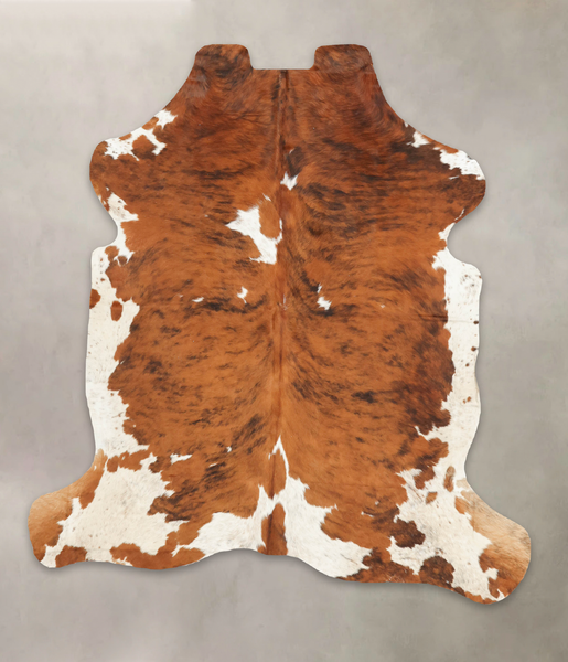 Tricolor Cowhide Rug #B5409