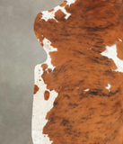 Tricolor Cowhide Rug #B5409