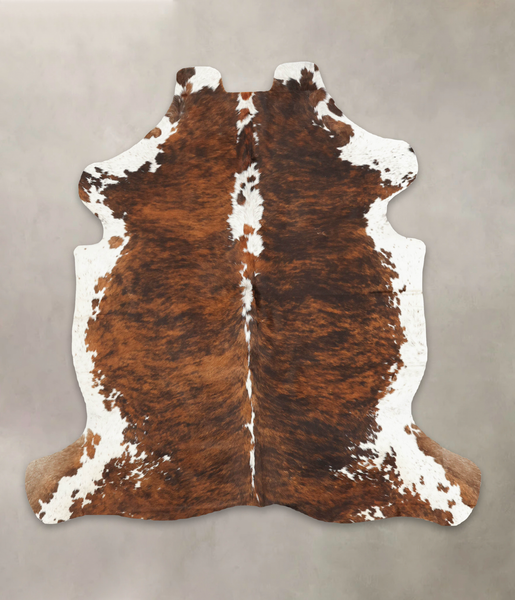 Tricolor Cowhide Rug #B5422