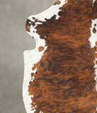 Tricolor Cowhide Rug #B5422