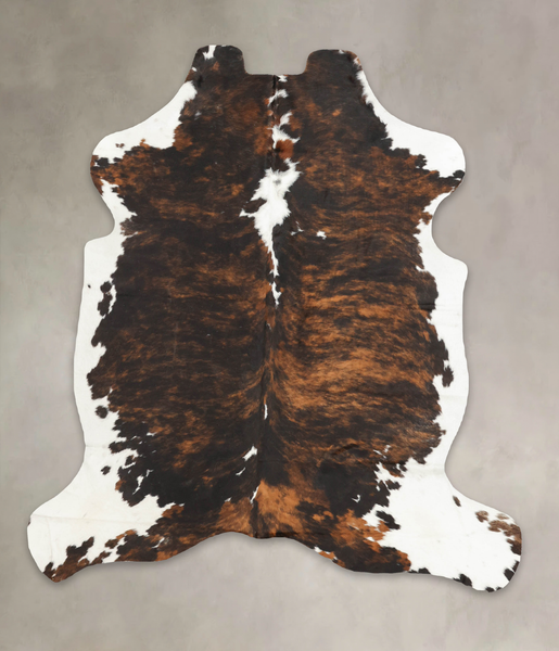 Tricolor Cowhide Rug #B5435