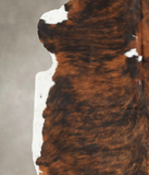 Tricolor Cowhide Rug #B5436
