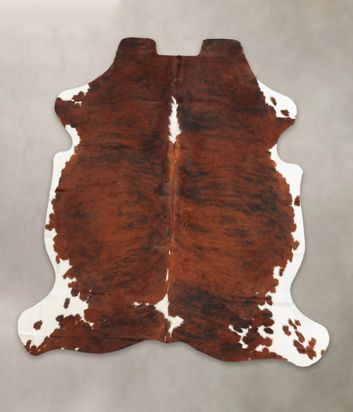 Tricolor Cowhide Rug #B5437