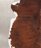 Tricolor Cowhide Rug #B5437