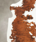 Tricolor Cowhide Rug #B5451
