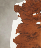 Tricolor Cowhide Rug #B5452
