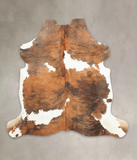 Tricolor Cowhide Rug #B5458