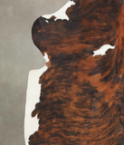 Tricolor Cowhide Rug #B5496