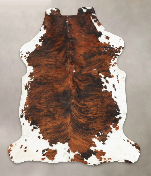 Tricolor Cowhide Rug #B5505