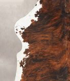 Tricolor Cowhide Rug #B5505