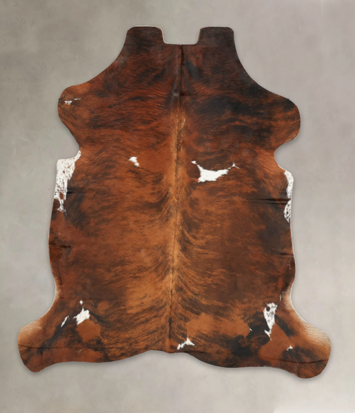 Tricolor Cowhide Rug #B5506
