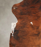 Tricolor Cowhide Rug #B5506
