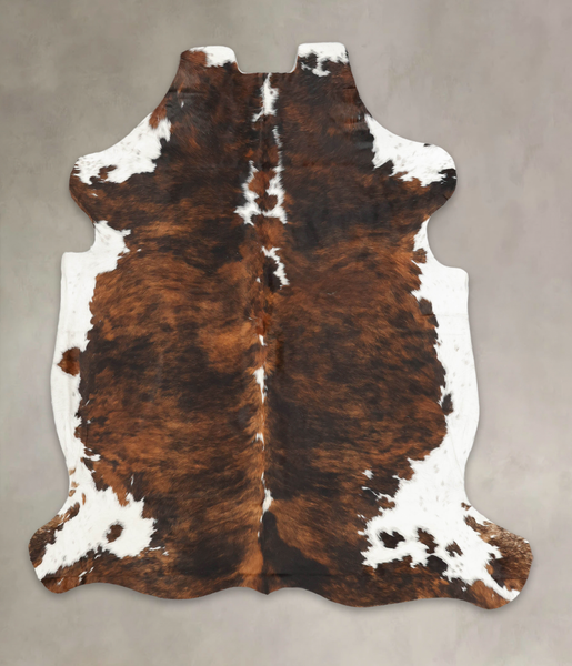 Tricolor Cowhide Rug #B5521