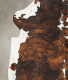 Tricolor Cowhide Rug #B5521