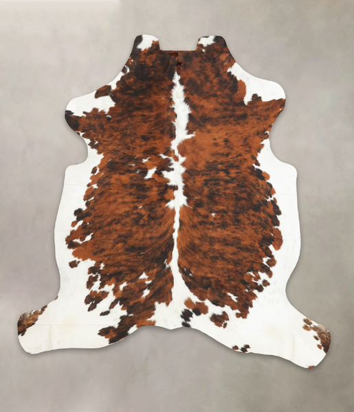 Tricolor Cowhide Rug #B5523