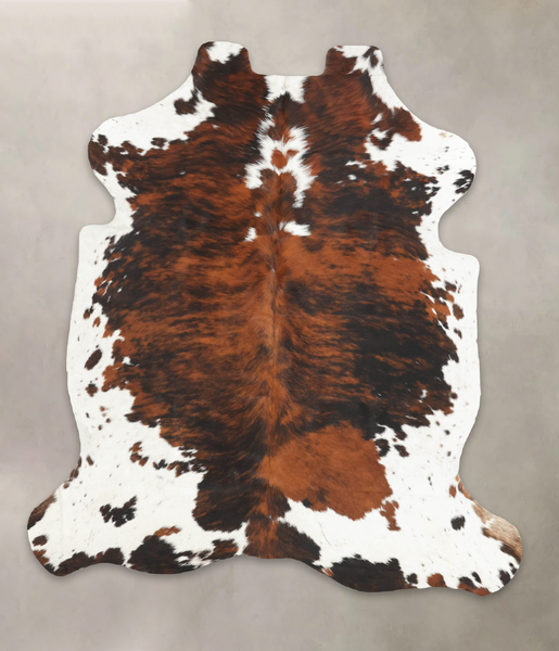 Tricolor Cowhide Rug #B5584