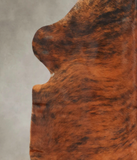 Medium Brindle Cowhide Rug #B5602