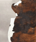 Tricolor Cowhide Rug #B5604