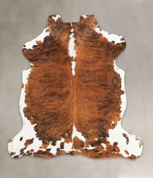 Tricolor Cowhide Rug #B5622