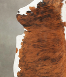 Tricolor Cowhide Rug #B5622