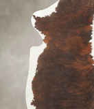 Tricolor Cowhide Rug #B5625