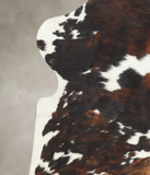 Tricolor Cowhide Rug #B5642