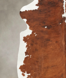 Tricolor Cowhide Rug #B5645
