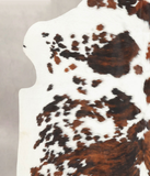 Tricolor Cowhide Rug #B5648
