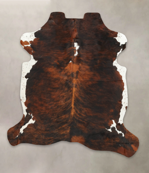 Tricolor Cowhide Rug #B5653