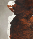 Tricolor Cowhide Rug #B5653