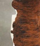 Medium Brindle Cowhide Rug #B5654