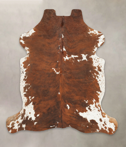Tricolor Cowhide Rug #B5655