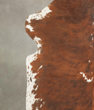 Tricolor Cowhide Rug #B5655