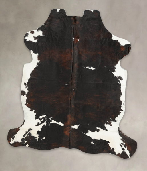 Tricolor Cowhide Rug #B5656