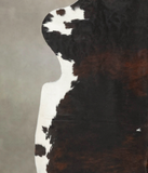 Tricolor Cowhide Rug #B5656