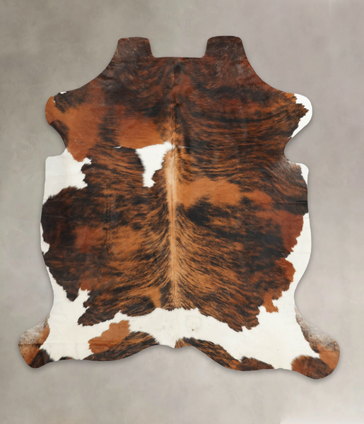 Tricolor Cowhide Rug #B5662