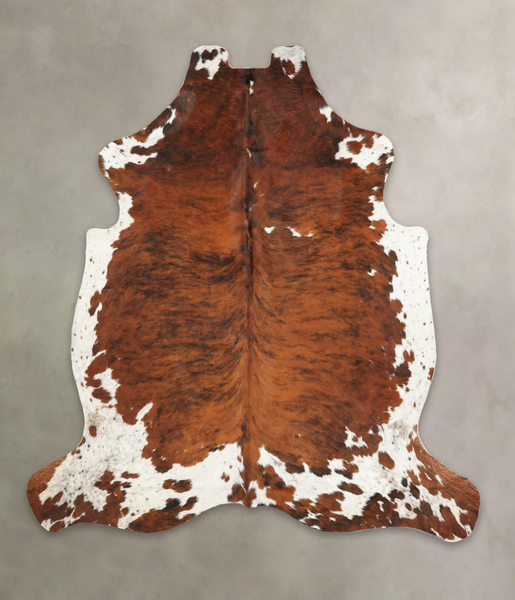Tricolor Cowhide Rug #B5664