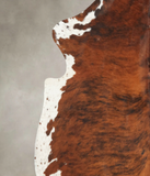 Tricolor Cowhide Rug #B5664