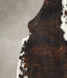 Tricolor Cowhide Rug #B5665