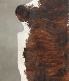 Tricolor Cowhide Rug #B5671