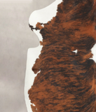 Tricolor Cowhide Rug #B5674