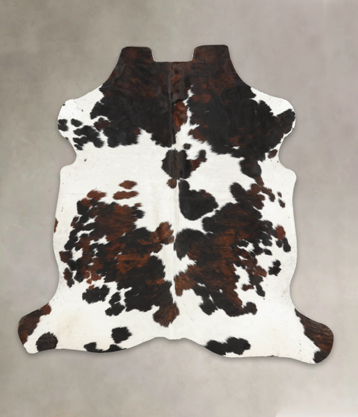 Tricolor Cowhide Rug #B5698