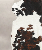 Tricolor Cowhide Rug #B5698