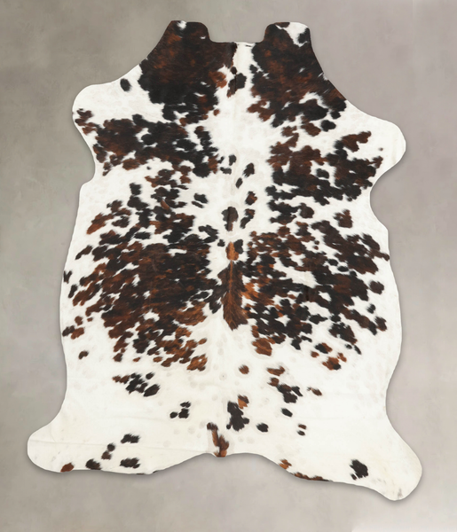 Tricolor Cowhide Rug #B5702
