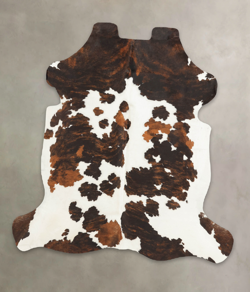 Tricolor Cowhide Rug #B5703