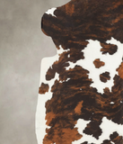 Tricolor Cowhide Rug #B5703