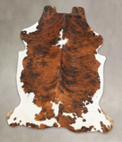 Tricolor Cowhide Rug #B5705