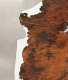 Tricolor Cowhide Rug #B5705
