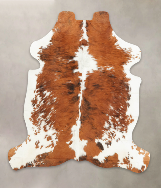 Tricolor Cowhide Rug #B5715