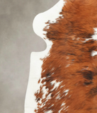 Tricolor Cowhide Rug #B5715